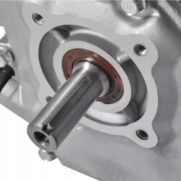 Motor benzina GTX-200 7 CP