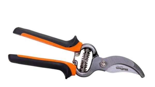 WOLFSON-FOARFECA DE VIE 8,5"