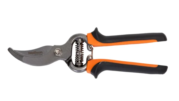 WOLFSON-FOARFECA DE VIE 8,5"