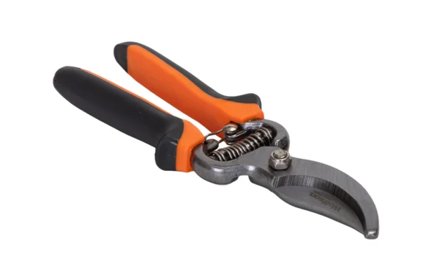 WOLFSON-FOARFECA DE VIE 8,5"