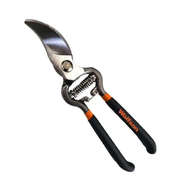 WOLFSON-FOARFECA DE VIE 8,5"