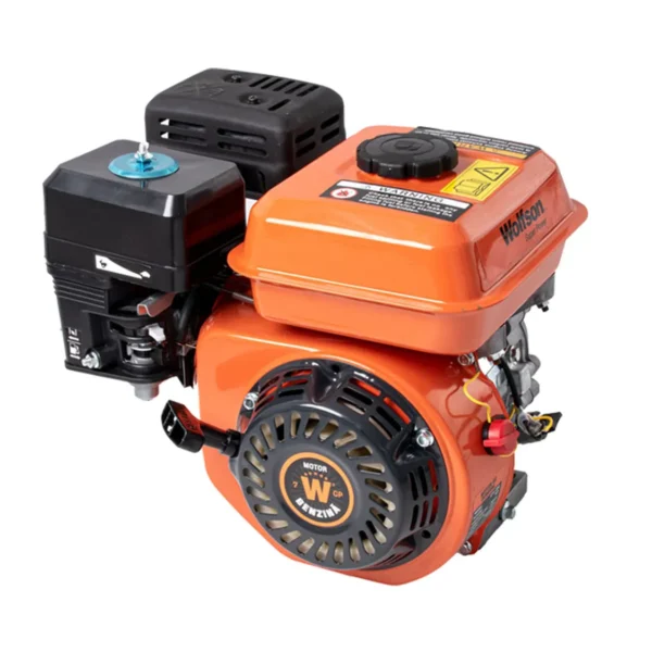Motor benzina GTX-200 7 CP
