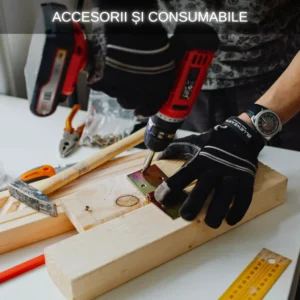 Accesorii și consumabile