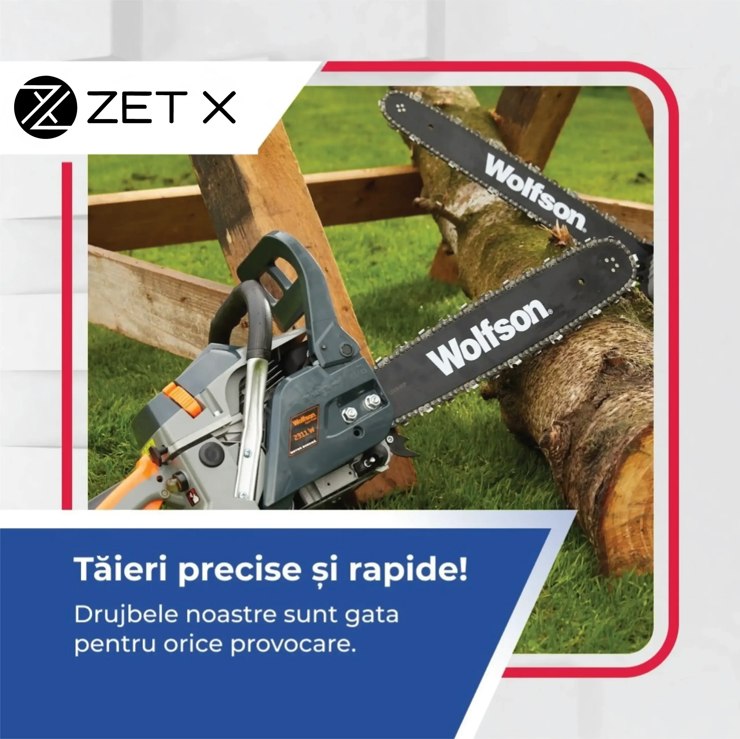 drujba, drujbe, drujba/drujbe,drujbă