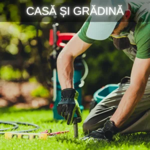 Grădină și curte