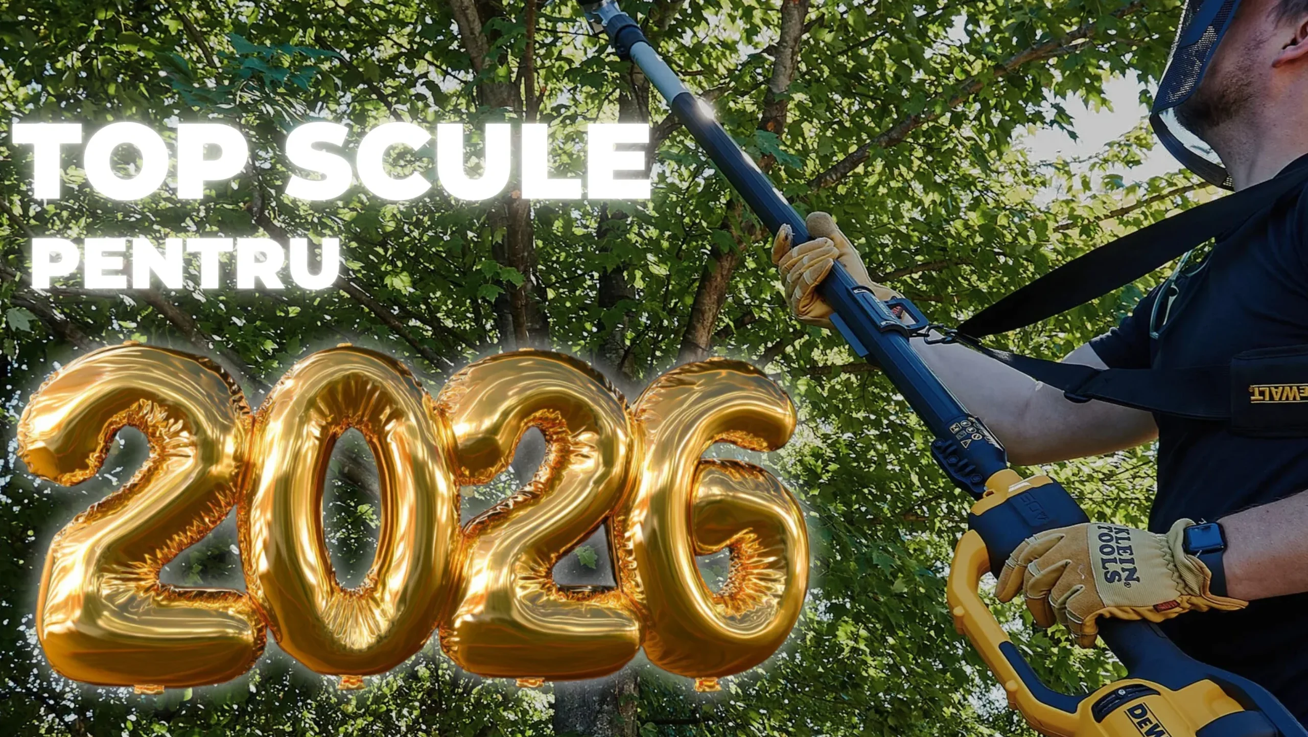 TOP SCULE PENTRU 2026