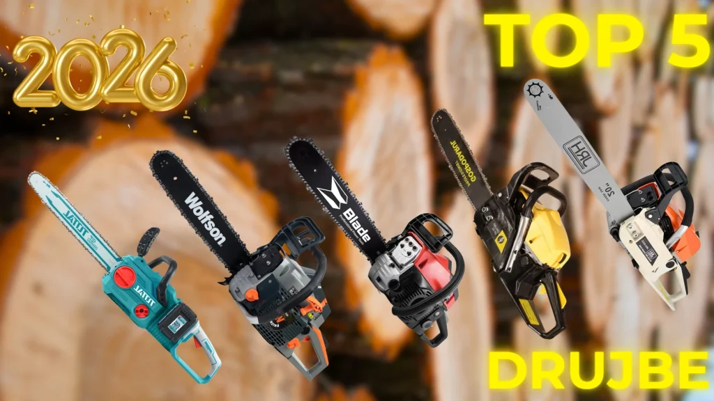 CEA MAI BUNĂ DRUJBĂ