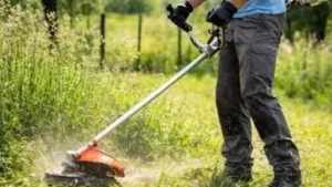 ghid motocoasă pentru începători pentru curte grădină iarbă deasă și teren mare